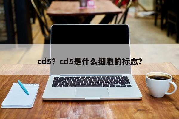 cd5？cd5是什么细胞的标志？